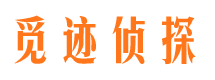 相山市私家侦探